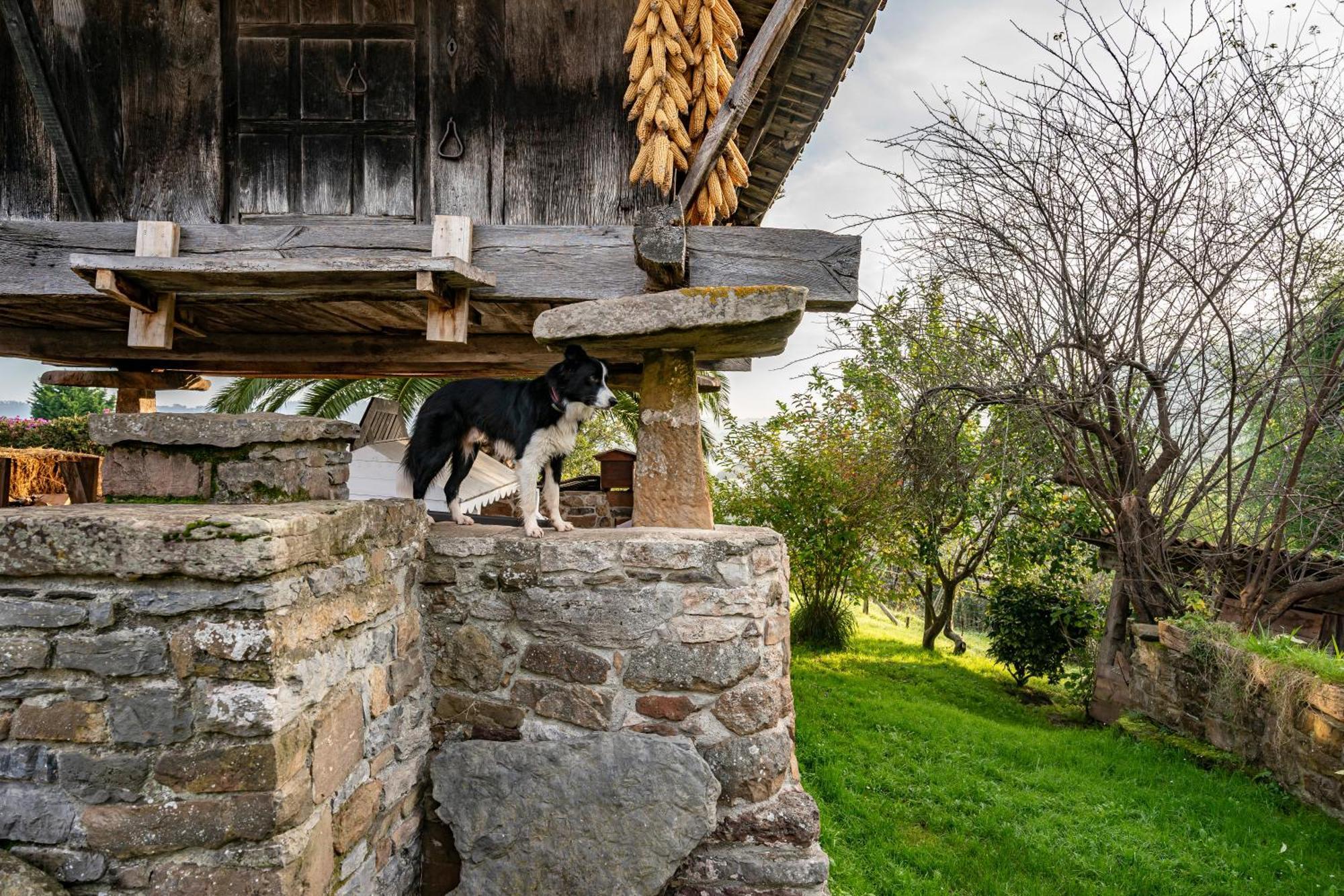 Gasthaus La Casina Del Fresnu Onon Exterior foto